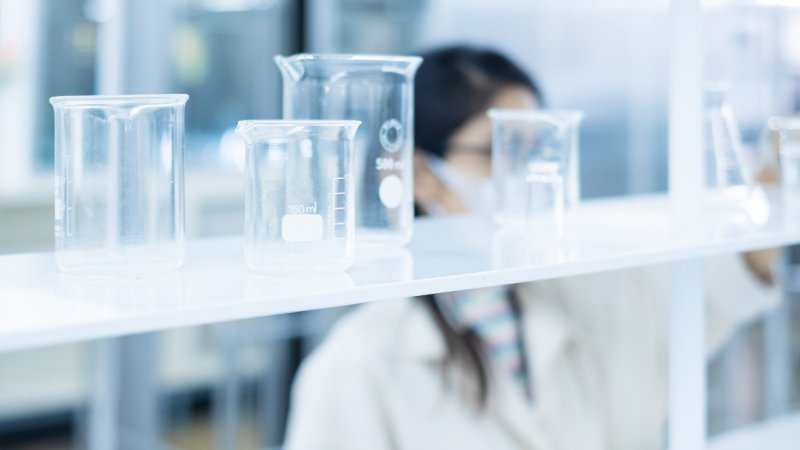 Docência no Ensino de Ciências Biológicas